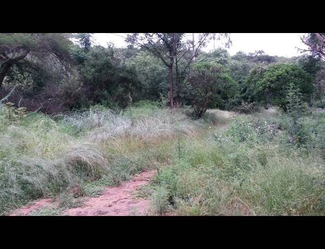 6HA FARM FOR SALE IN NELSPRUIT RURAL